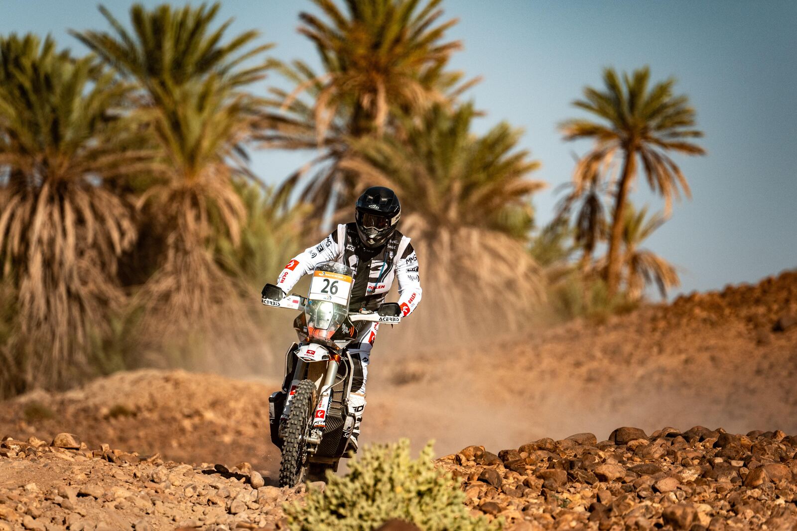 A rally motorcycle approaches over stones with palms behind it